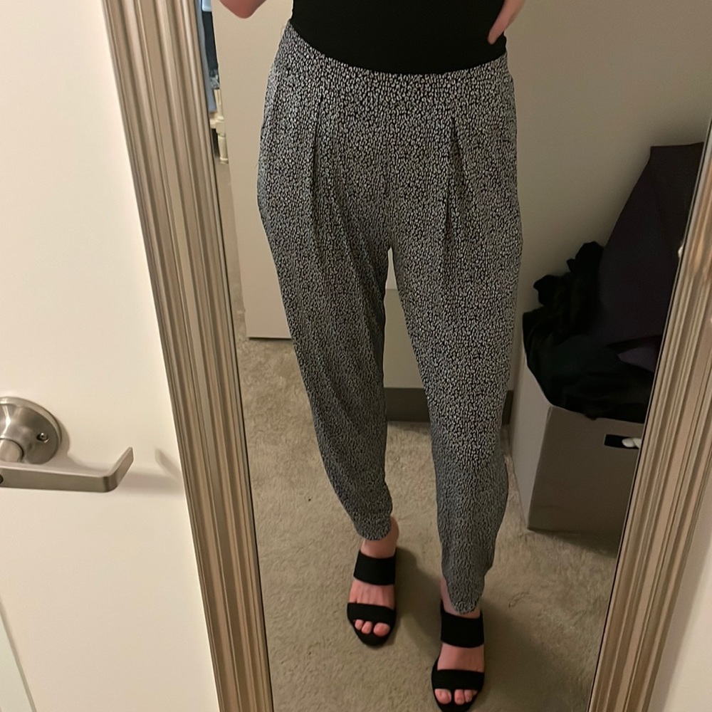 Express tapered dress pants
